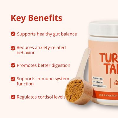 PrimeGut - Turkey Tail Probiotic™