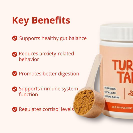 PrimeGut - Turkey Tail Probiotic™