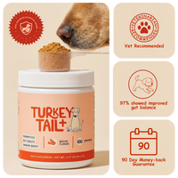 PrimeGut - Turkey Tail Probiotic™
