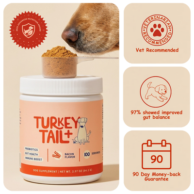 PrimeGut - Turkey Tail Probiotic™