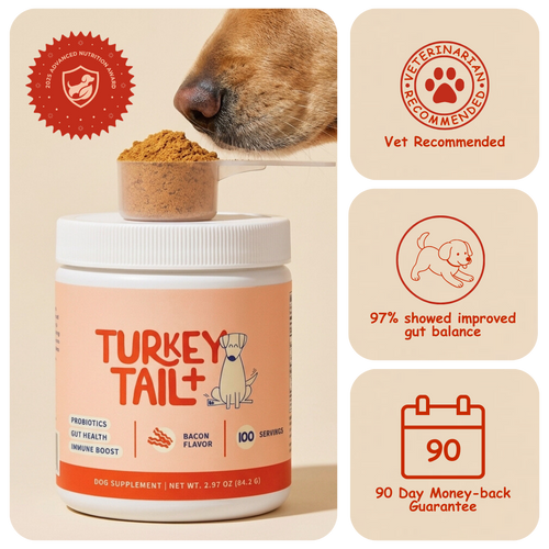 PrimeGut - Turkey Tail Probiotic™